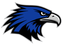 Hawk head 