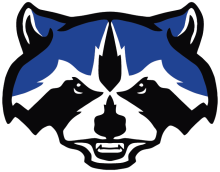 Raccoon