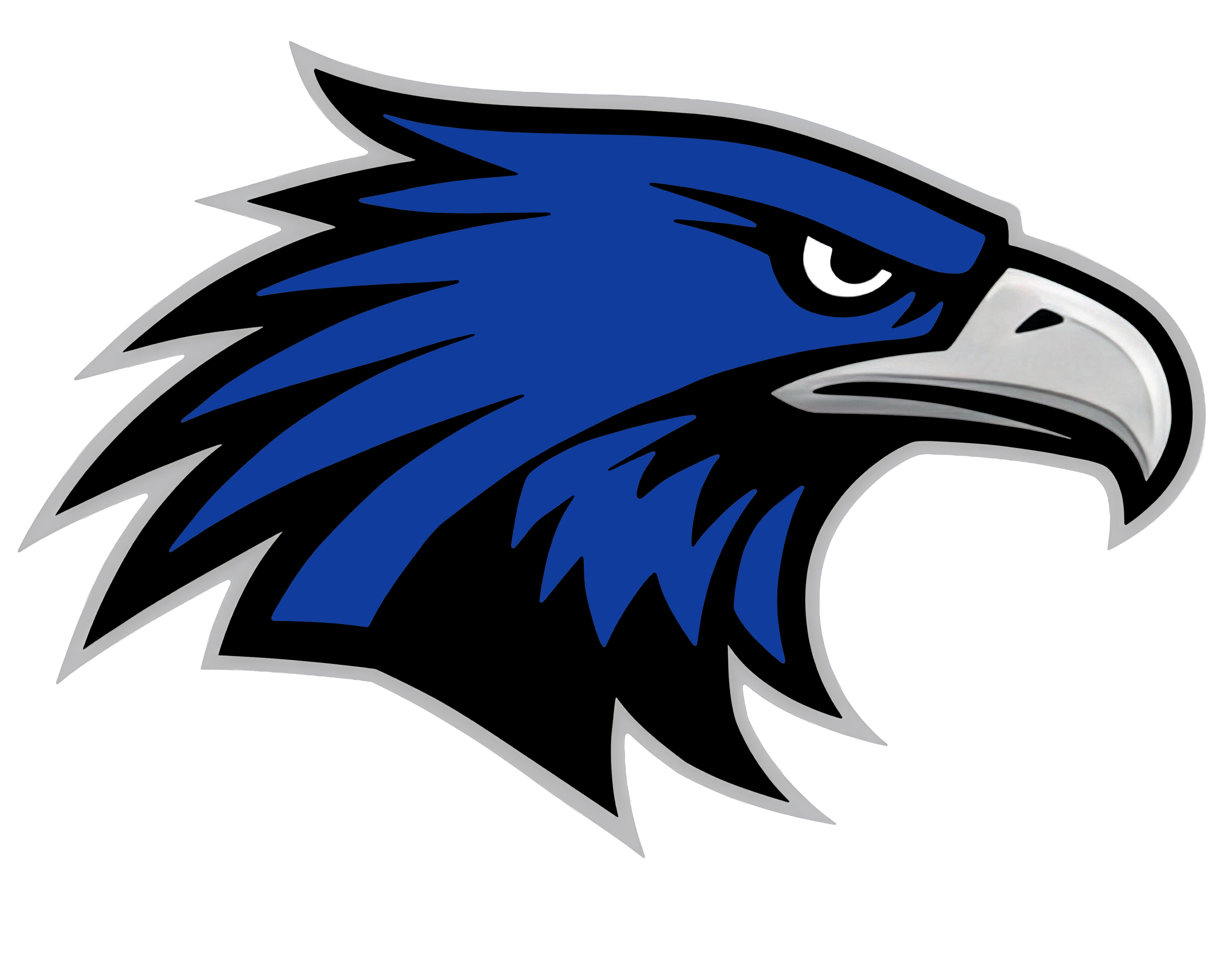 Hawk head 