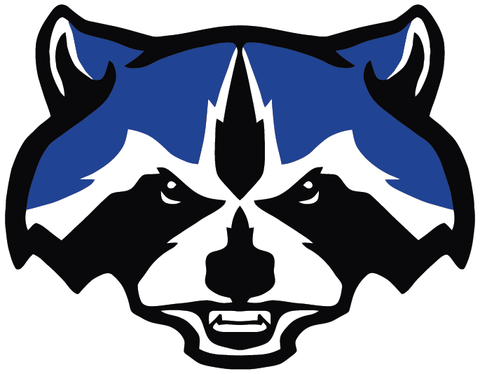 Raccoon