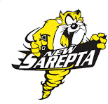 Saints logo.
