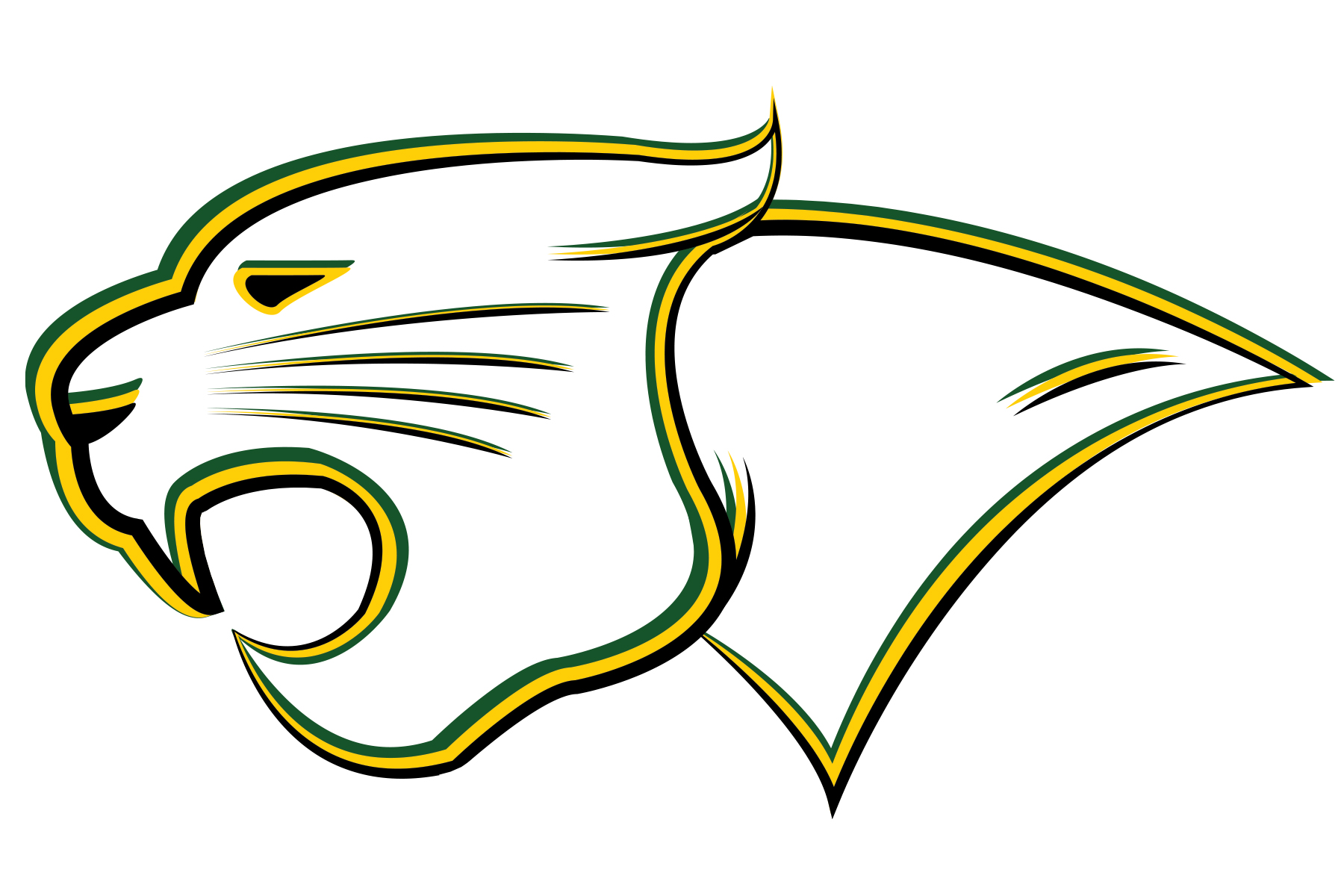 Cremona Cougars